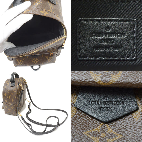 Louis Vuitton Bag Monogram Palm Springs Mini Rucksack Backpack
