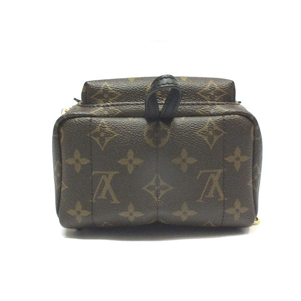 Louis Vuitton Monogram Palm Springs Backpack Mini Rucksack