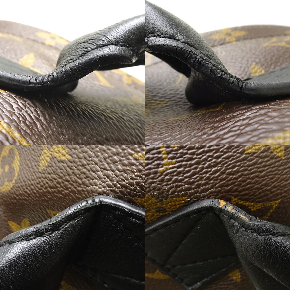 Louis Vuitton Palm Springs Backpack MM Backpack Brown