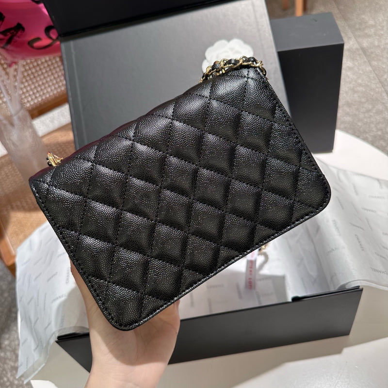 Amelia- CHL Bags - 6844