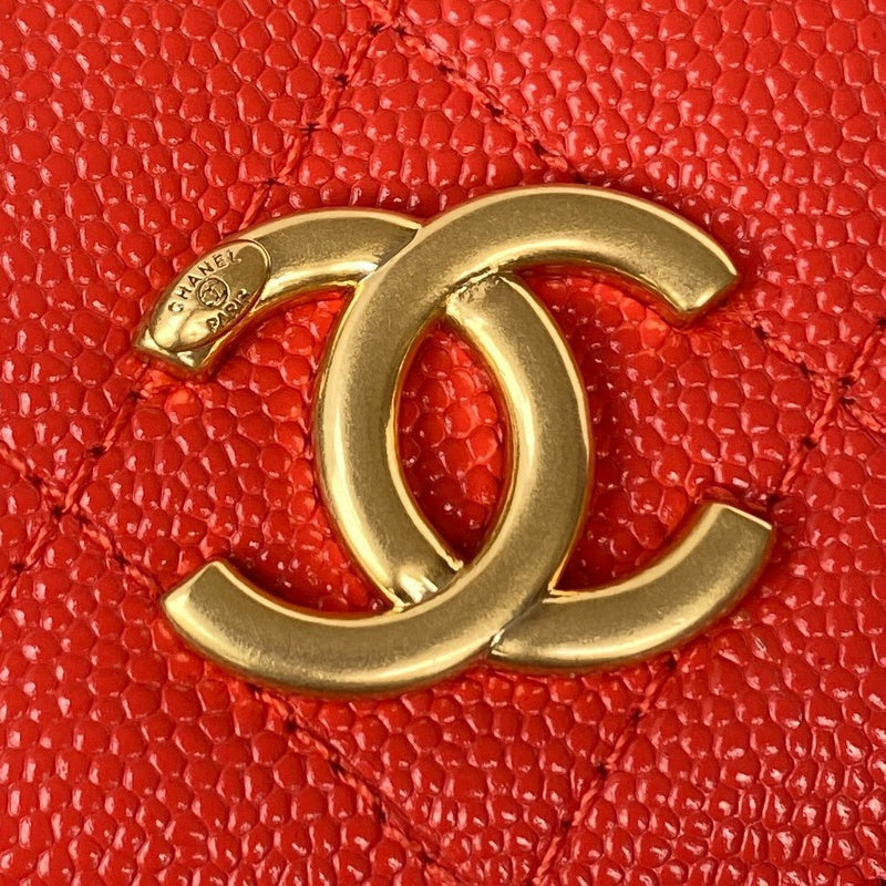 Amelia- CHL Lady Bags - 179