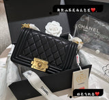 Amelia- CHL Bags - 6824