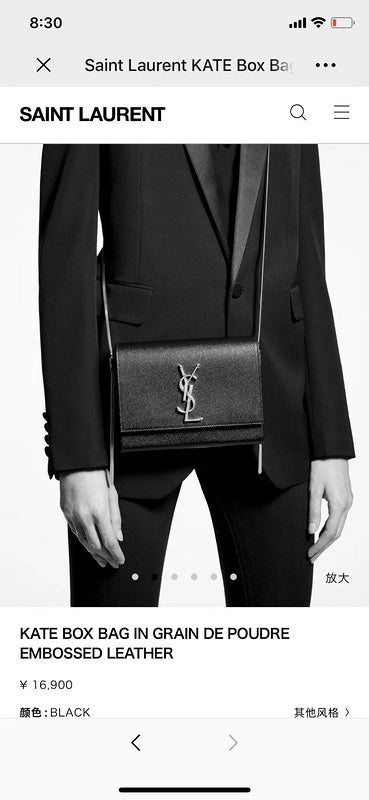 Amelia - YSL Bag - 3768