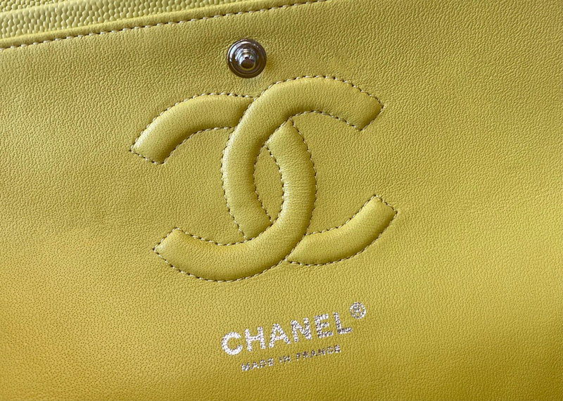 Amelia- CHL Bags - 6691