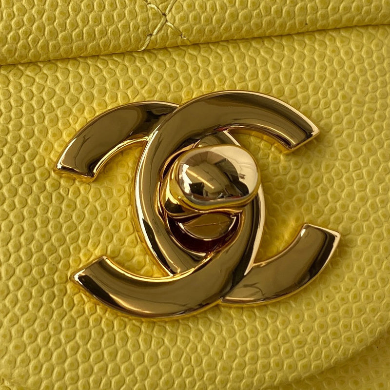 Amelia- CHL Bags - 6667