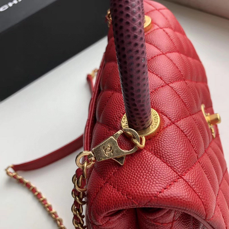 Amelia- CHL Bags - 6738