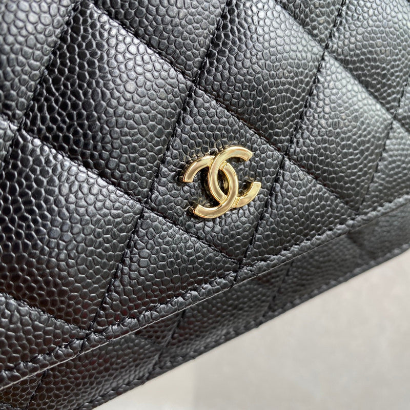 Amelia- CHL Bags - 6499