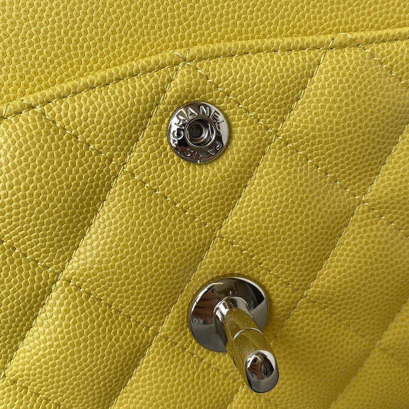 Amelia- CHL Bags - 6662