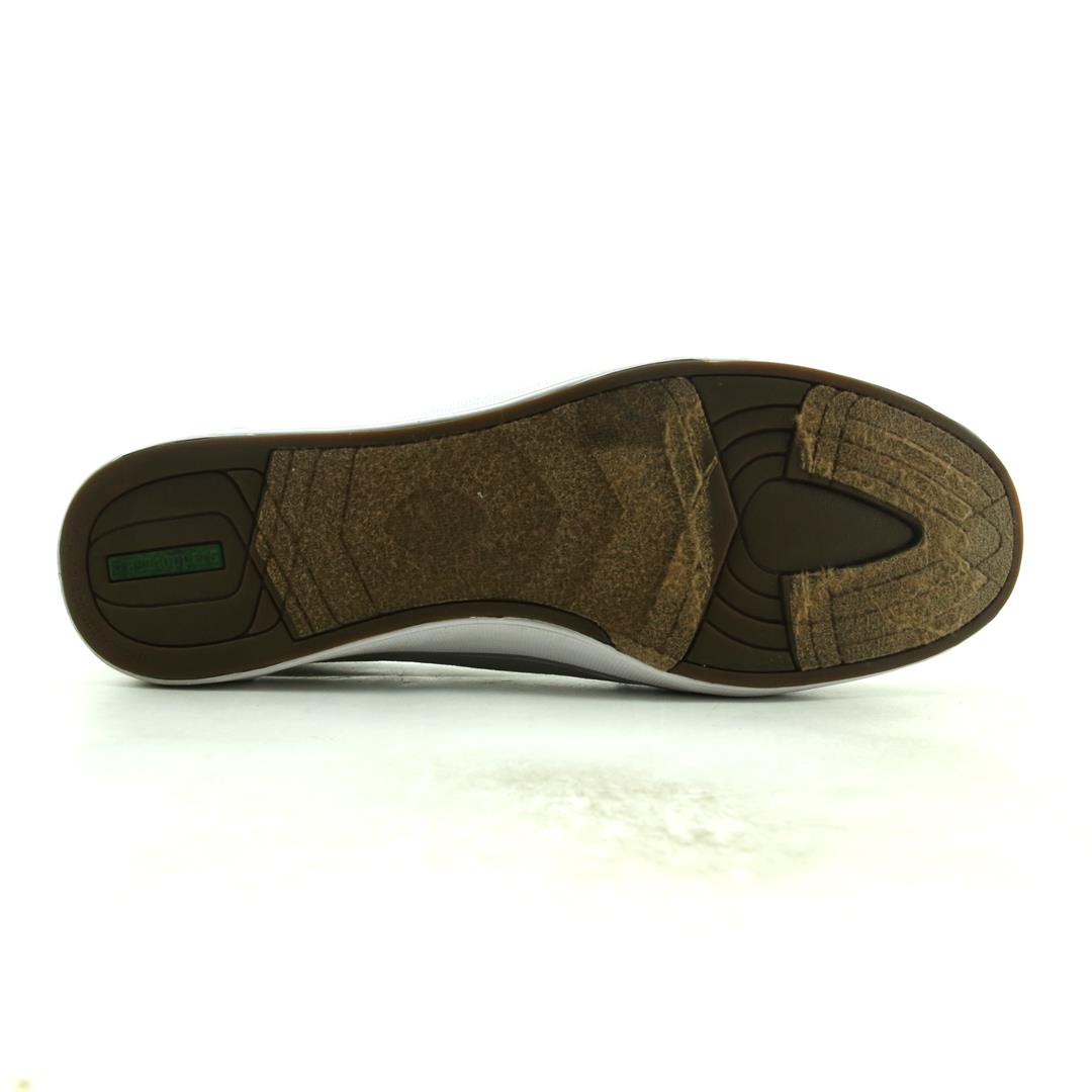 GRASSHOPPER  ORTHOLITE