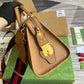 Amelia- GCI LUXURY LADY BAG - BRANDED BAGS FOR WOMEN - 439