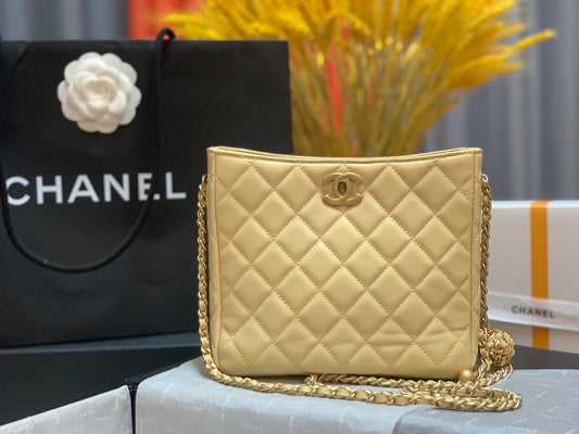 CHL - Hobo Handbag Beige Bag For Women 16cm/6in