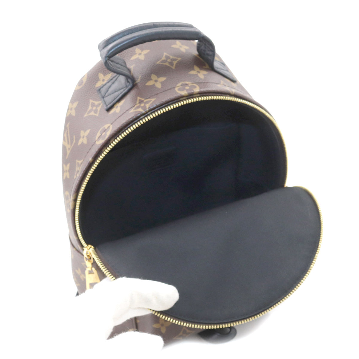 Louis Vuitton Monogram Palm Springs Backpack PM Backpack Brown