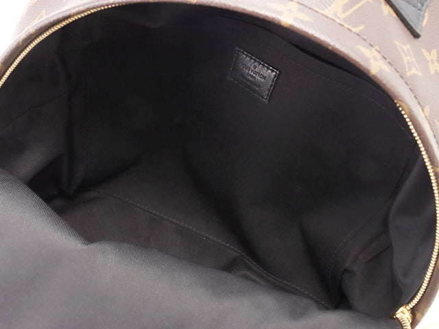 Louis Vuitton Palm Springs Backpack MM