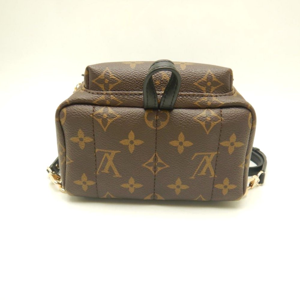 Louis Vuitton Monogram Palm Springs Backpack MINI Brown