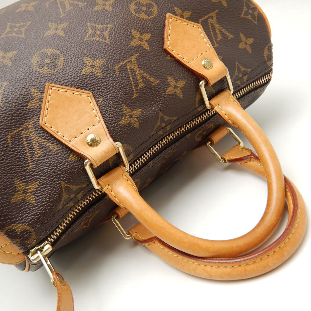 Louis Vuitton Monogram Speedy 25 Handbag Brown