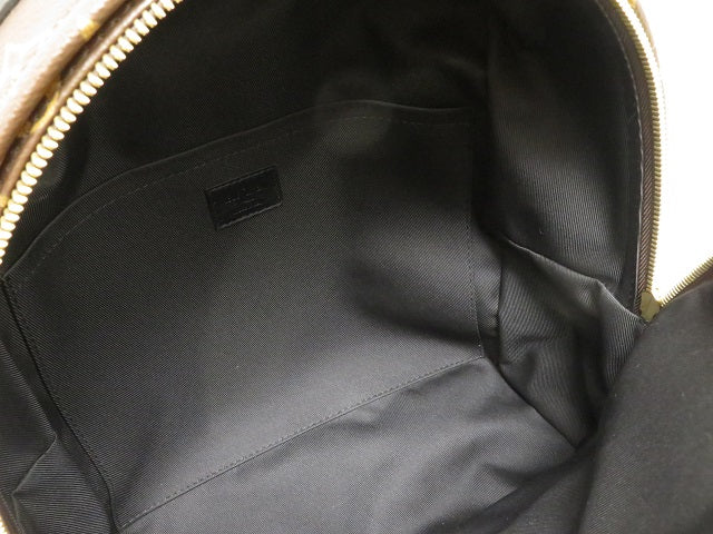 Louis Vuitton Palm Springs Backpack MM Monogram