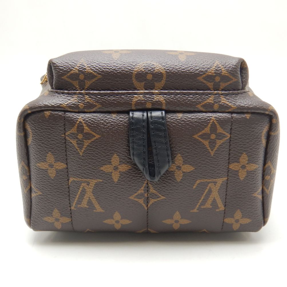 Louis Vuitton Monogram Palm Springs Backpack Mini Rucksack Brown