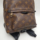 Louis Vuitton Monogram Palm Springs PM Backpack Brown