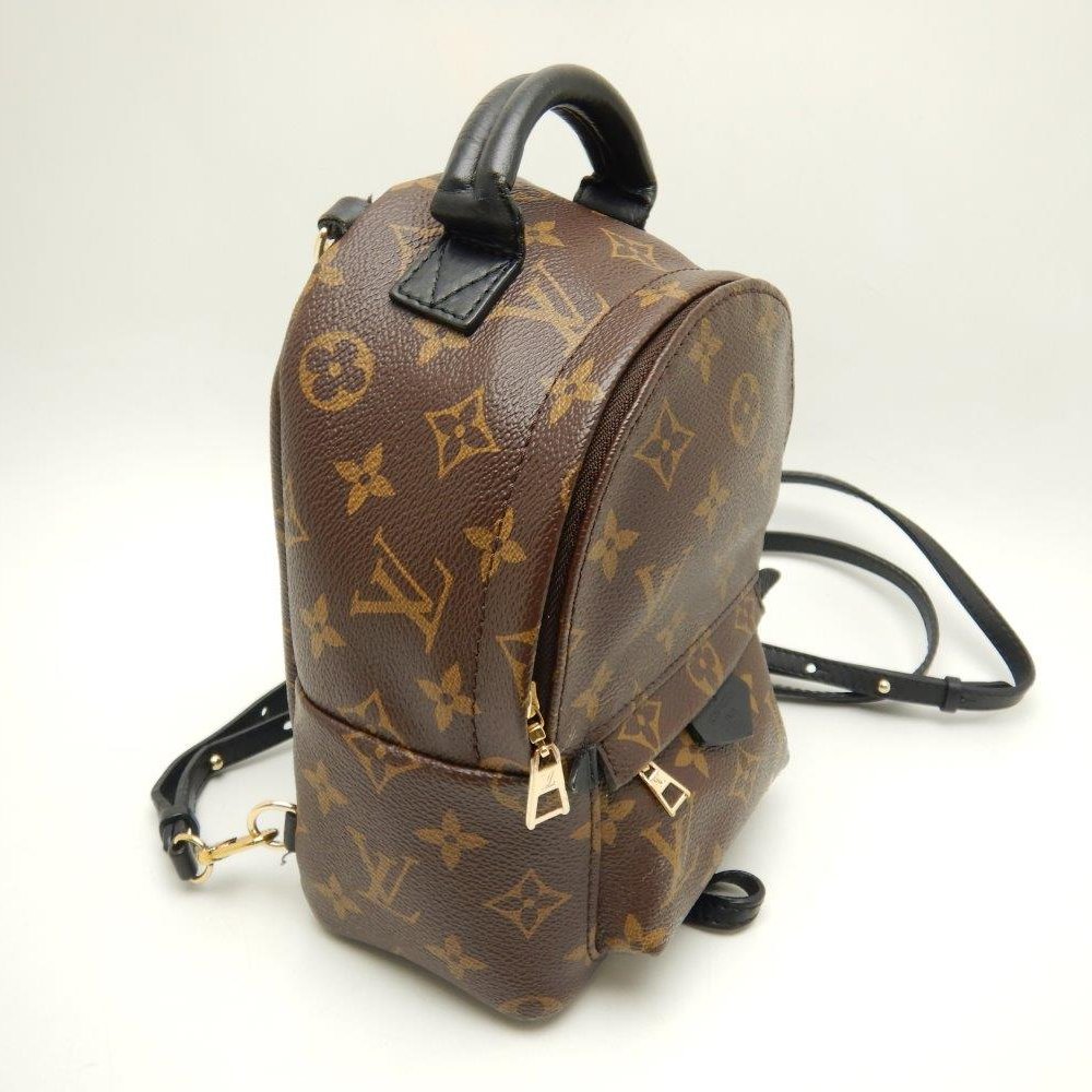 Louis Vuitton Monogram Palm Springs Backpack Mini Brown Rucksack