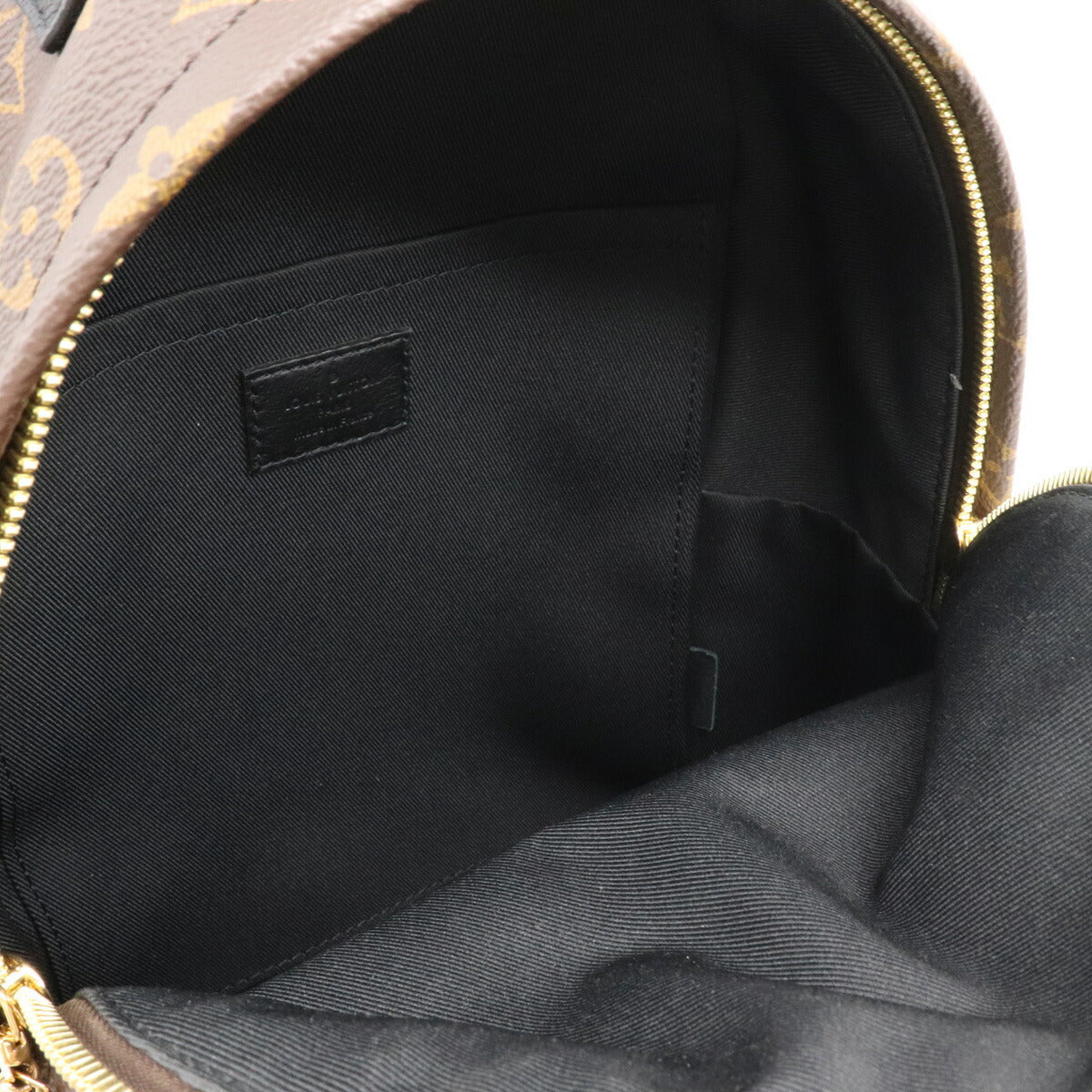 Louis Vuitton Monogram Palm Springs PM Backpack Rucksack