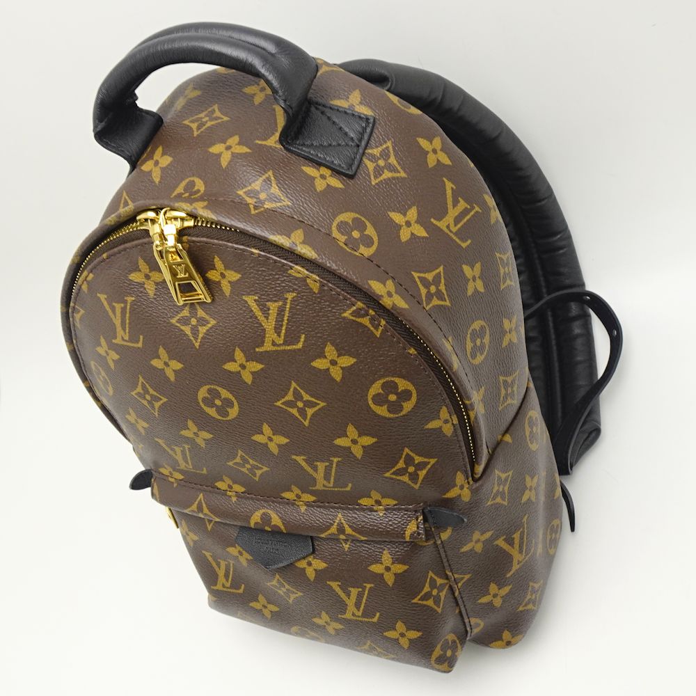 Louis Vuitton Monogram Palm Springs Backpack PM Brown Rucksack