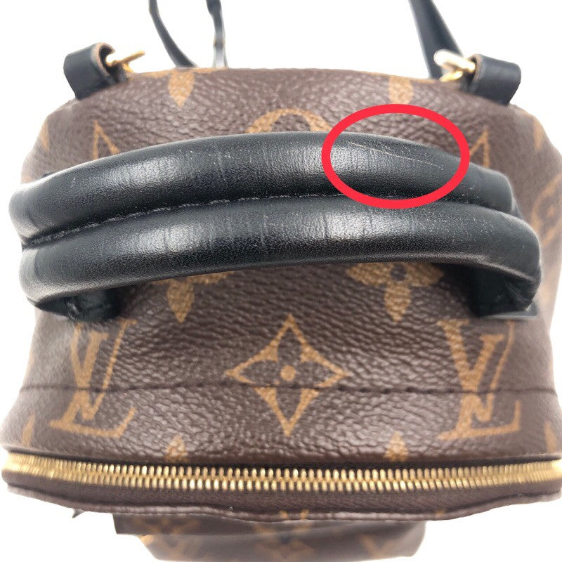 Louis Vuitton Palm Springs Mini Backpack Daypack