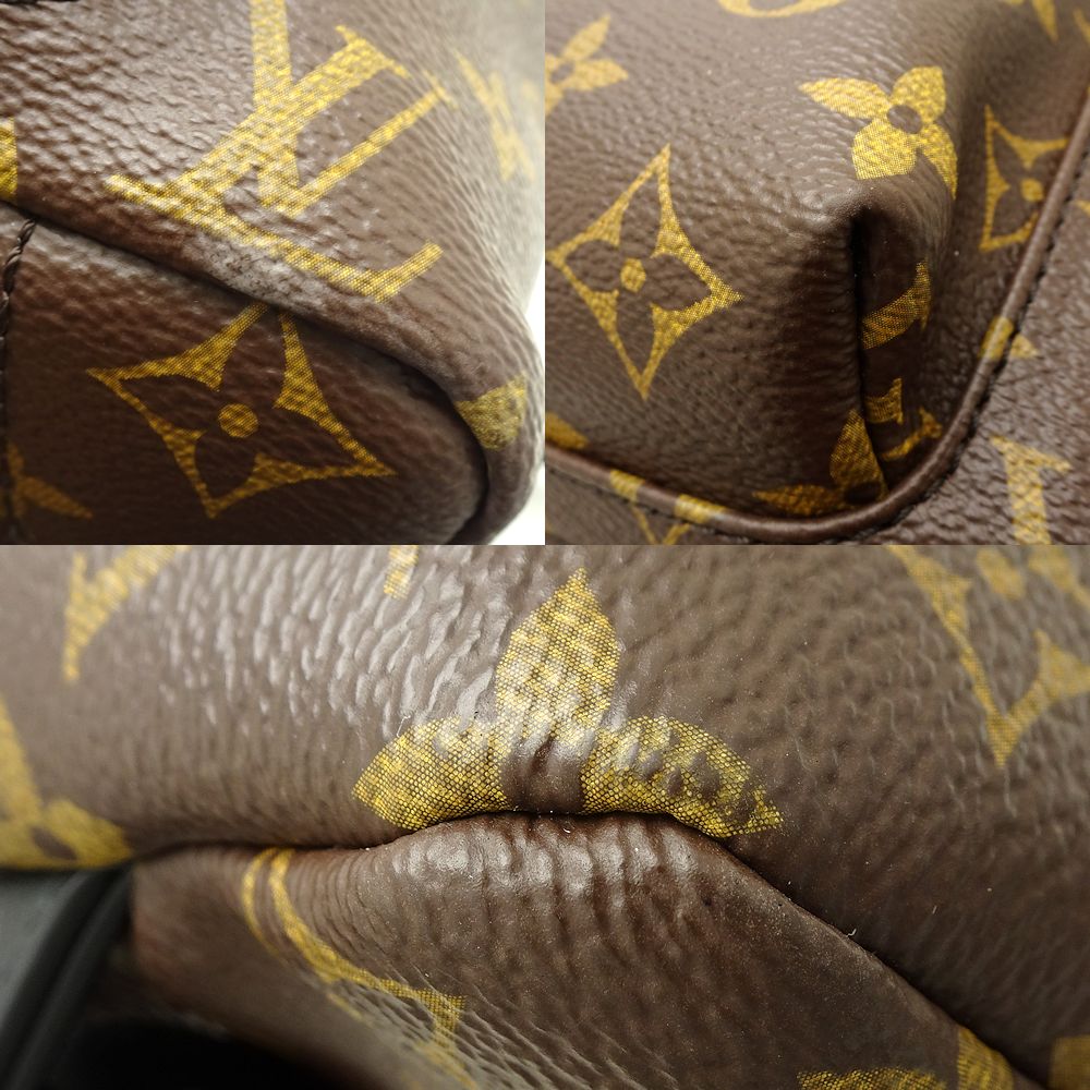 Louis Vuitton  Monogram Palm Springs Backpack MM Brown