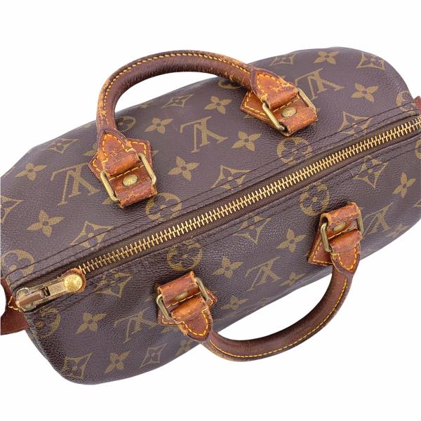 Louis Vuitton Speedy 25 Monogram Handbag