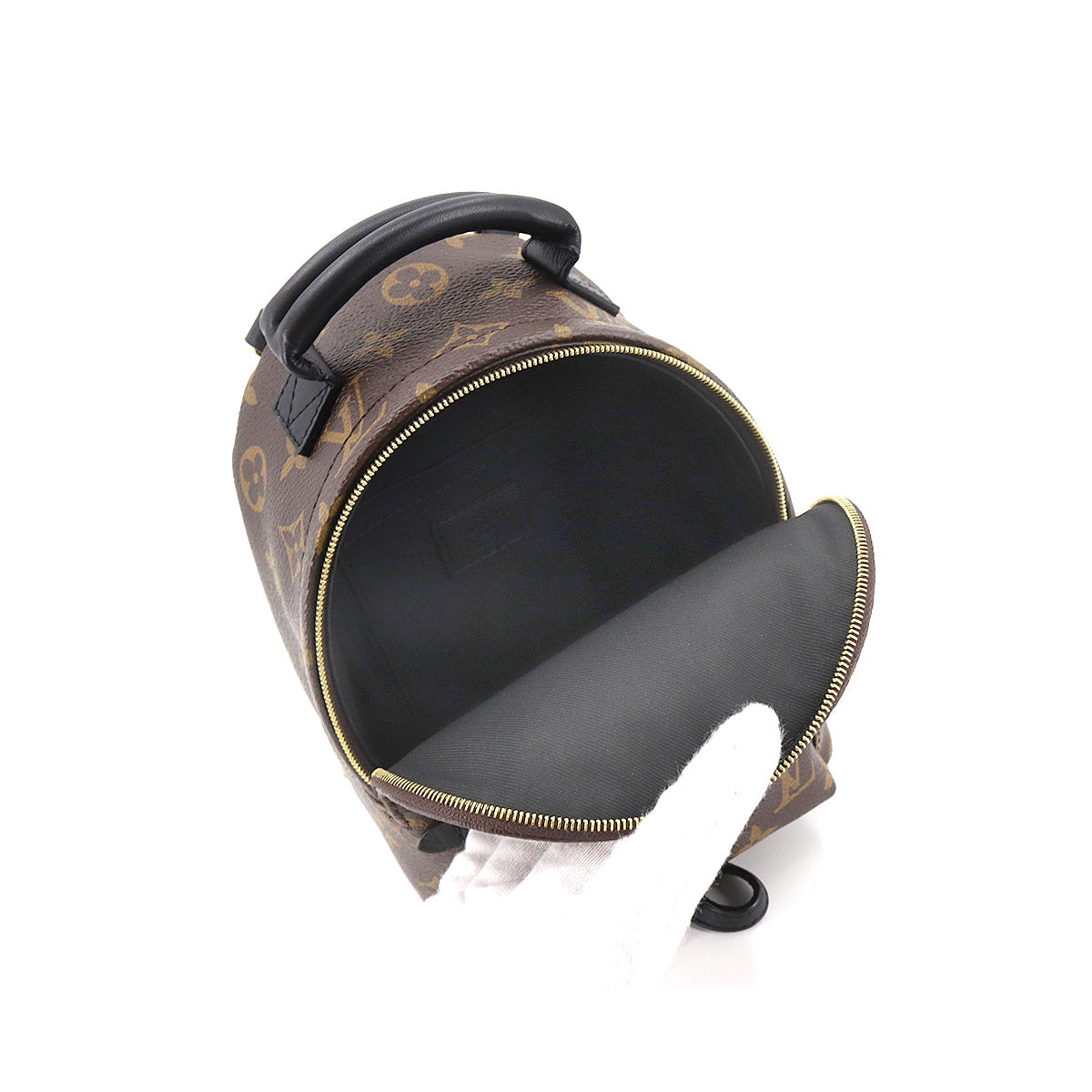 Louis Vuitton Monogram Palm Springs Backpack Mini Rucksack
