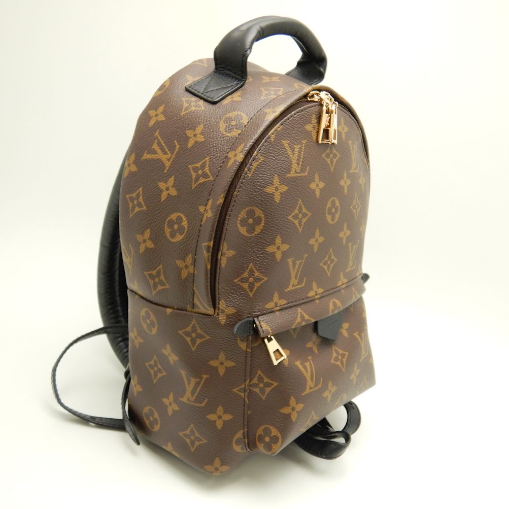 Louis Vuitton Monogram Palm Springs Backpack PM Brown Rucksack