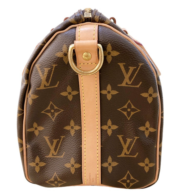 Louis Vuitton Speedy Bandouliere 25 Monogram Handbag