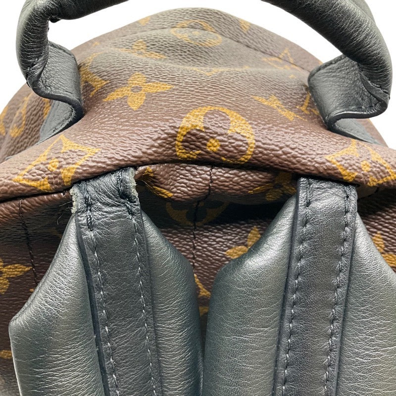 Louis Vuitton  Palm Springs PM Monogram