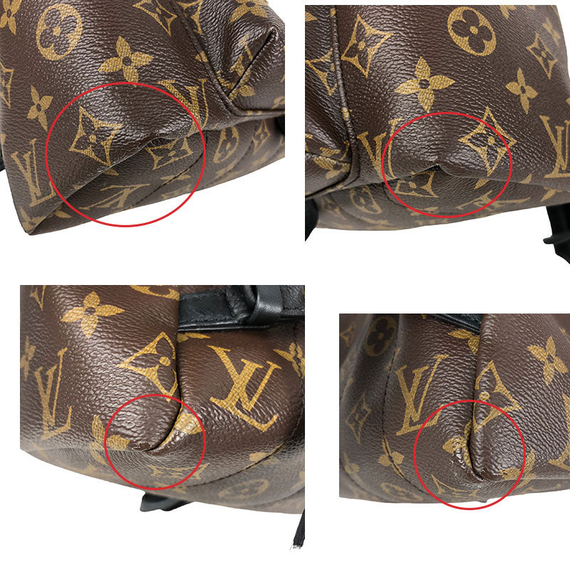 Louis Vuitton Palm Springs Backpack PM Monogram