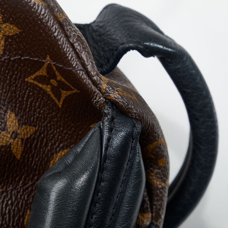 Louis Vuitton Monogram Palm Springs PM Rucksack Backpack Brown