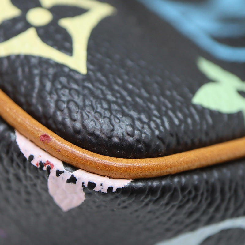 Louis Vuitton Pochette Accessoires Accessory Pouch Multicolor