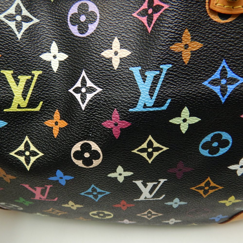 Louis Vuitton Multicolor Greta Noir Shoulder Bag