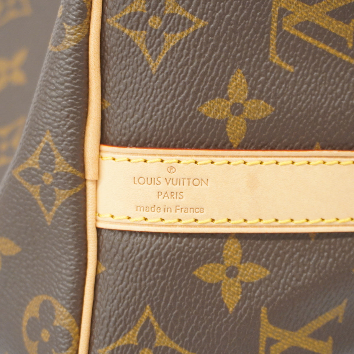 Louis Vuitton 2way Bag Monogram Speedy Bandouliere