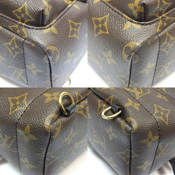 Louis Vuitton Monogram Palm Springs Backpack Mini Rucksack