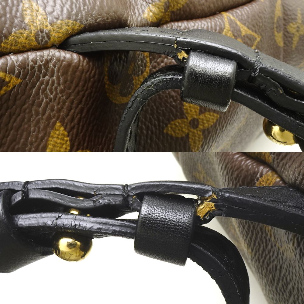 Louis Vuitton Palm Springs Backpack MM Backpack Brown