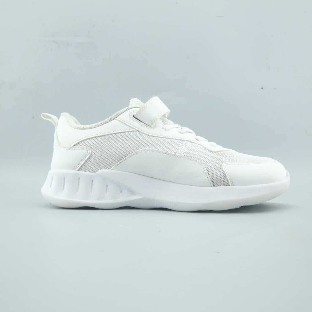 ANTA .
