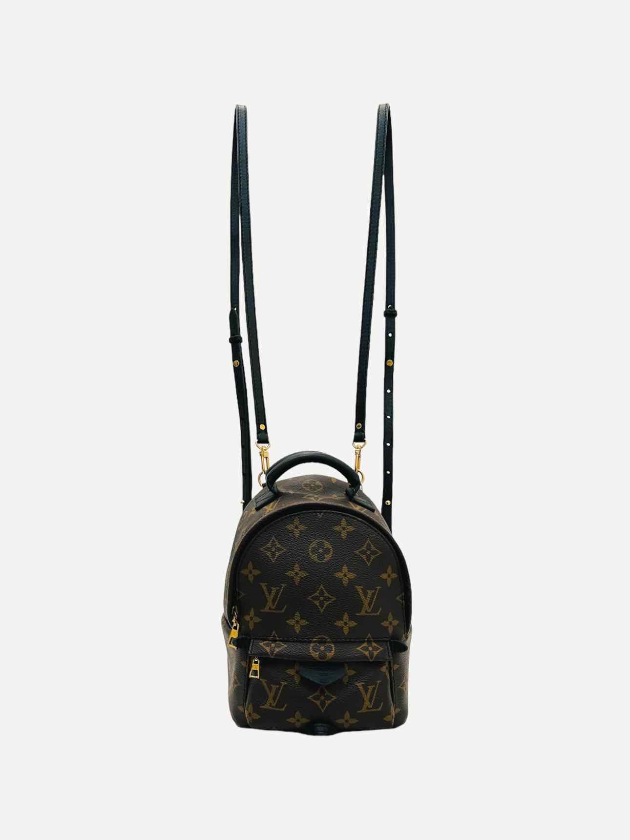 LOUIS VUITTON Palm Springs Brown Monogram Backpack