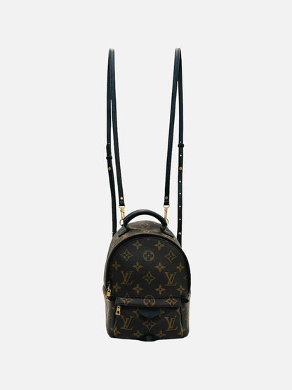 LOUIS VUITTON Palm Springs Brown Monogram Backpack