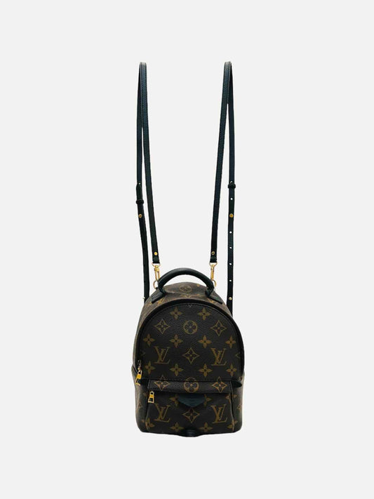 LOUIS VUITTON Palm Springs Brown Monogram Backpack