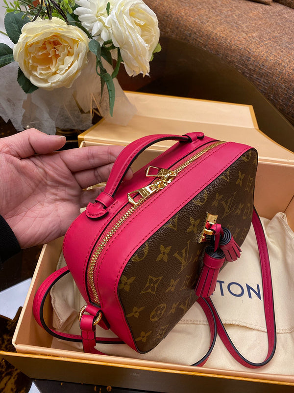 Amelia - LV Bags - 12460