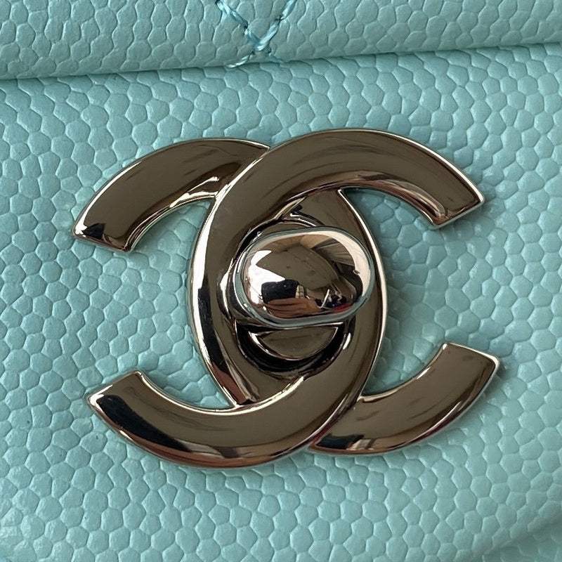 Amelia- CHL Bags - 6664