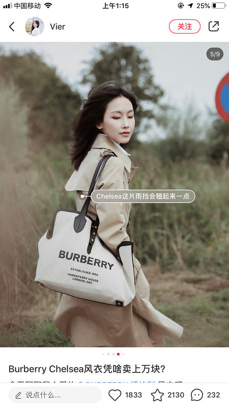 B-Berry Bags - Women Ameliave Luxury Bags - 746
