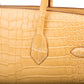 Birkin 35 - Mais - Matte Porous Crocodile