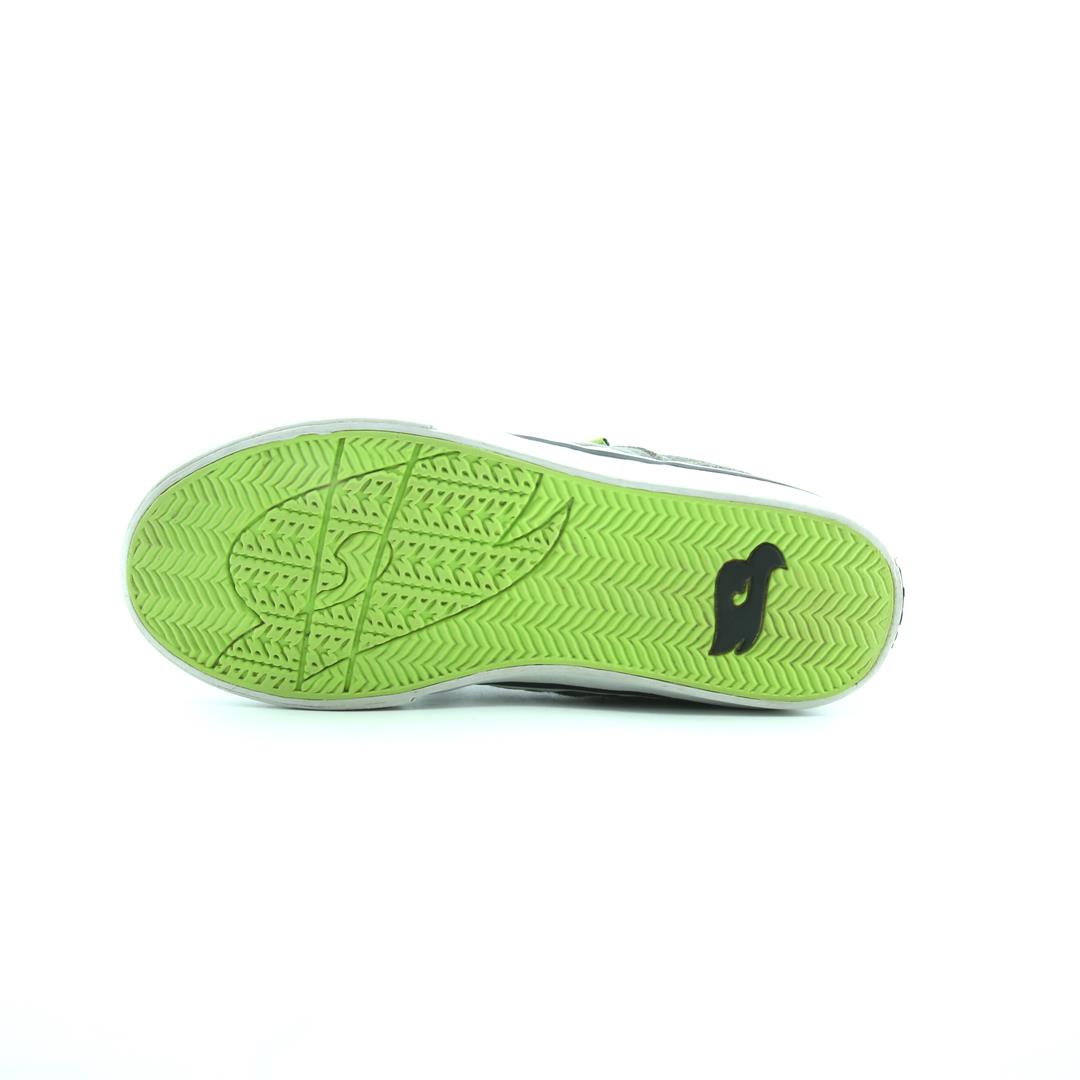 HAWK .