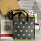 Amelia- GCI Bags - 5518