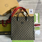 Amelia- GCI Bags - 4511